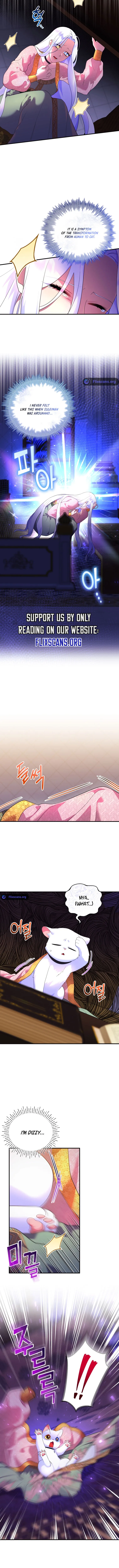 I Became the Sultan’s Precious Cat Chapter 17 52 4