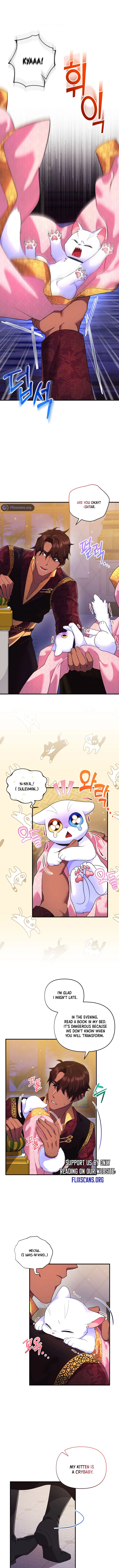 I Became the Sultan’s Precious Cat Chapter 17 53 5