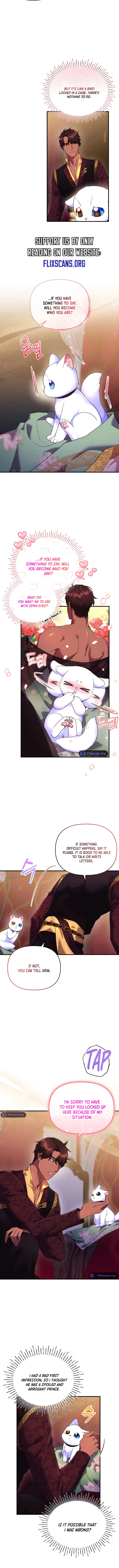 I Became the Sultan’s Precious Cat Chapter 17 55 7