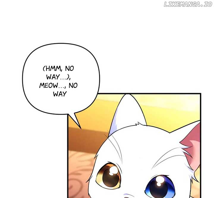 ch 55 12