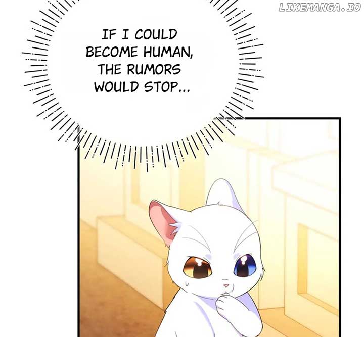 ch 55 120