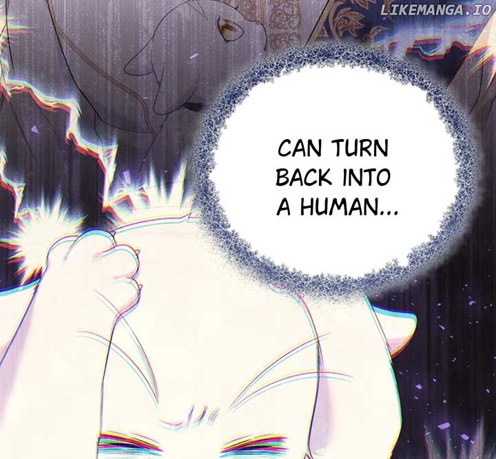 ch 55 123