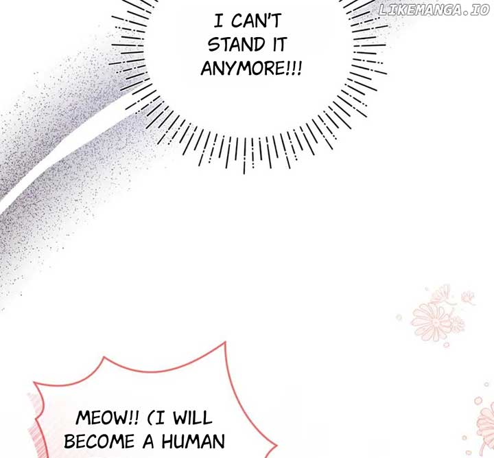 ch 55 47