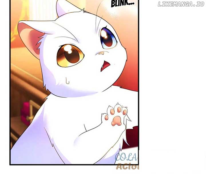 ch 55 52