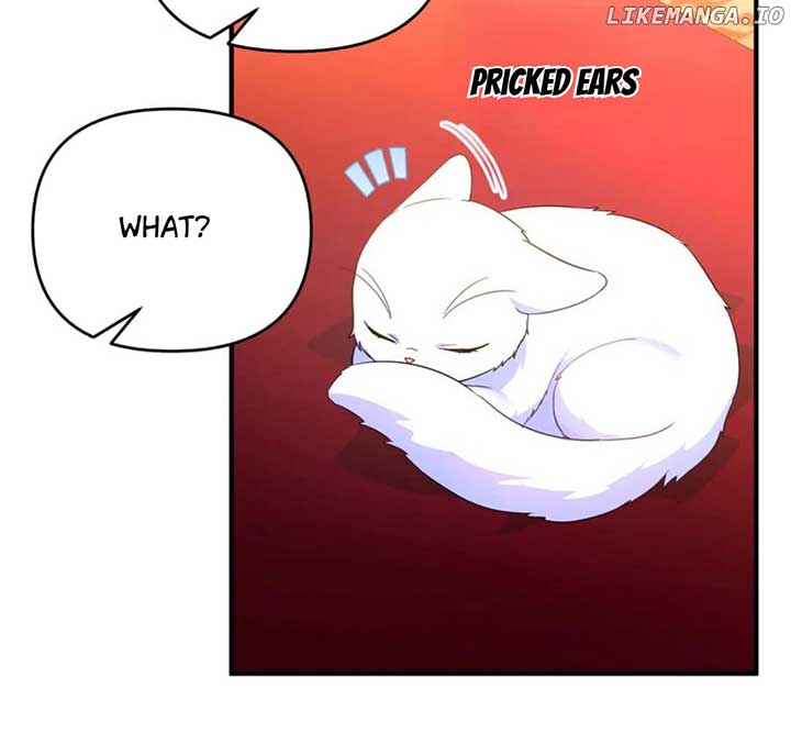 ch 55 91