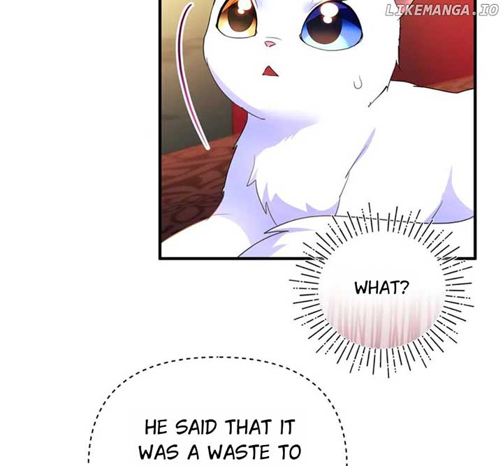 ch 55 97