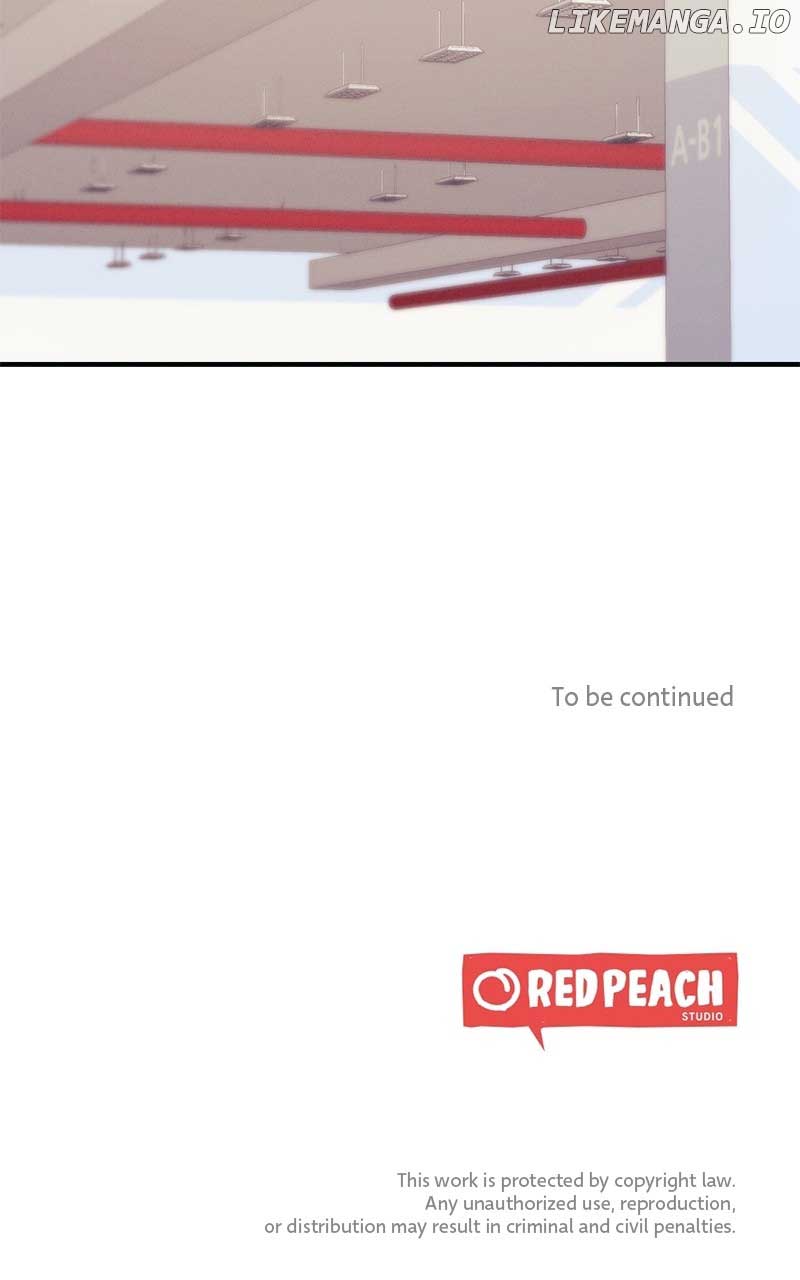 81