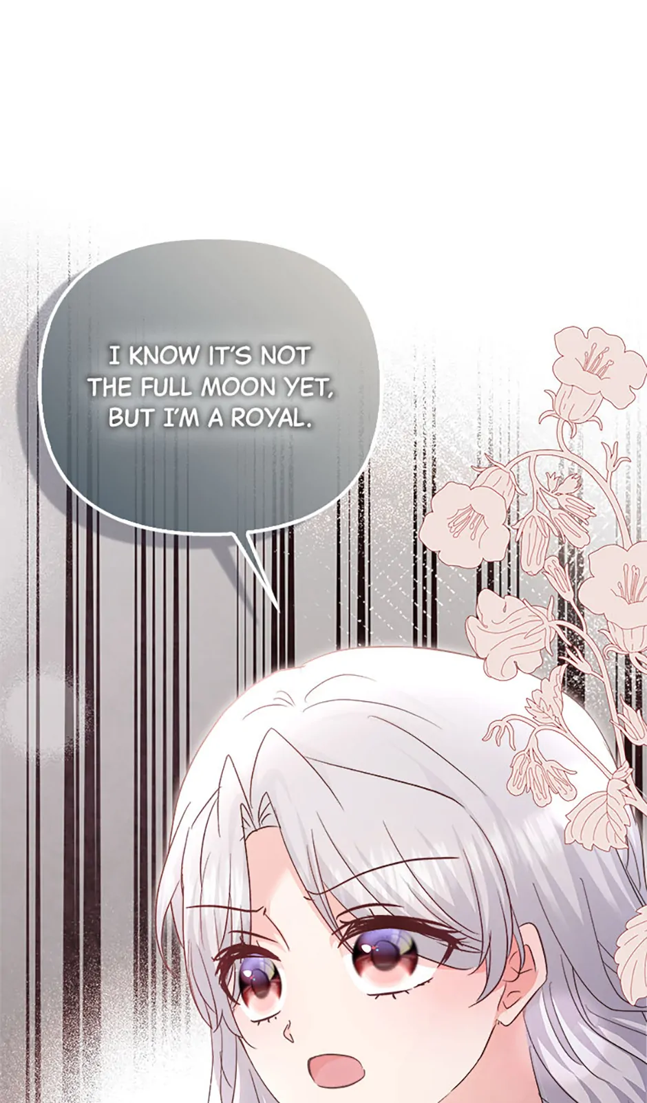 ch 88 60