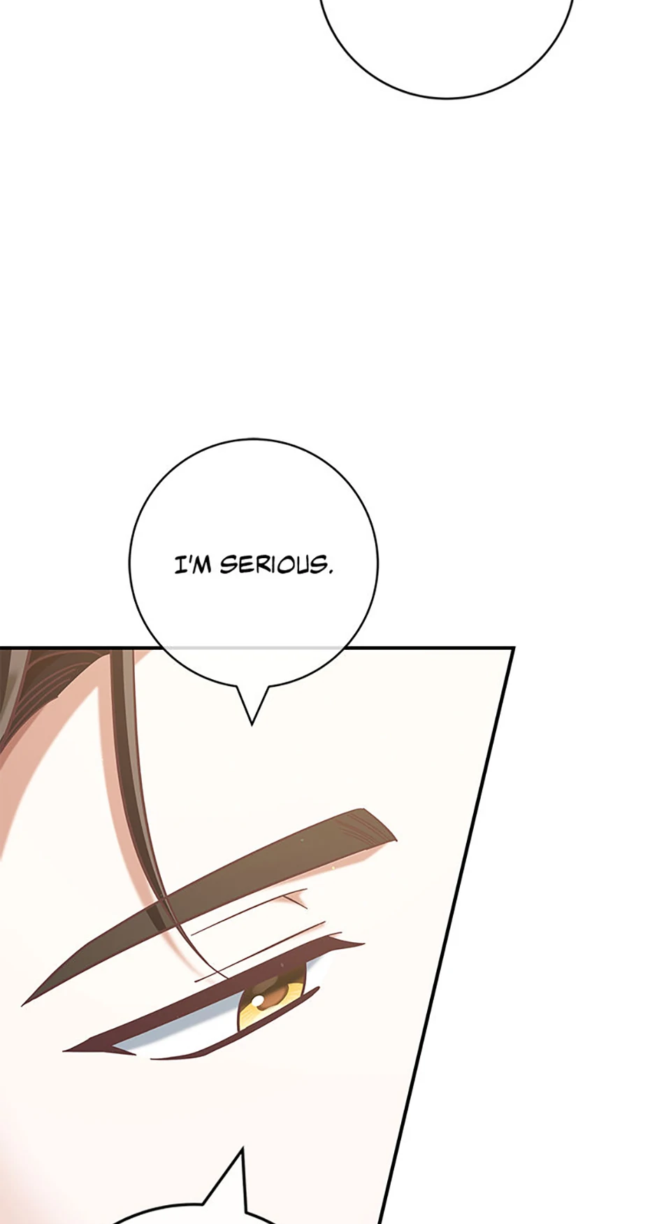 ch 85 20