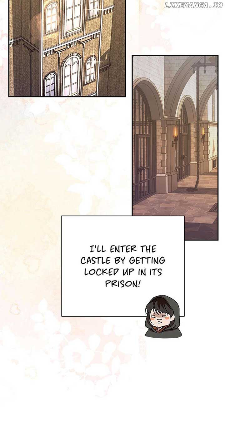 ch 50 26