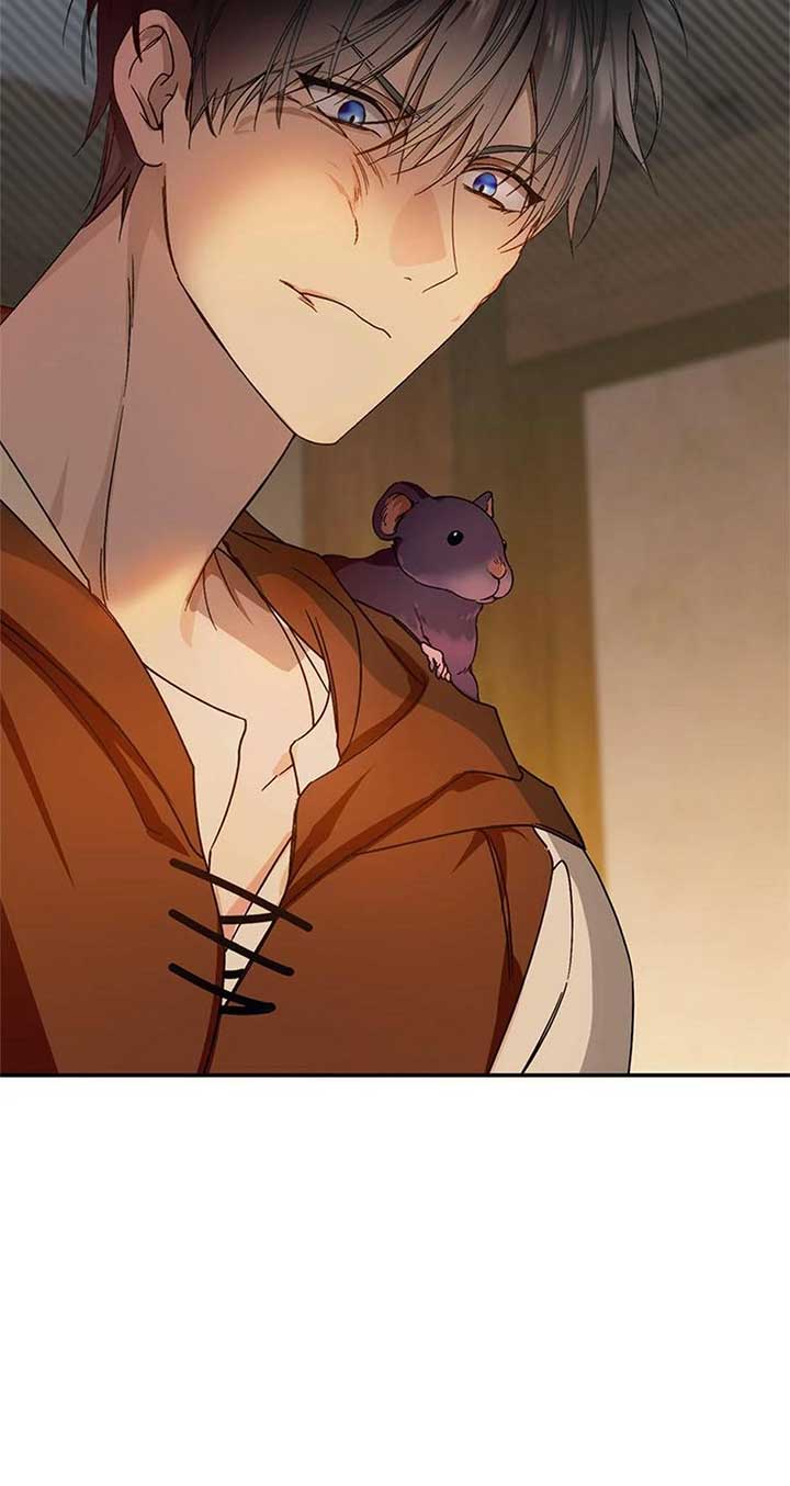 ch 52 27