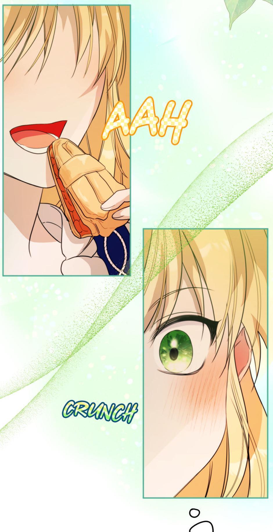 ch 61 50