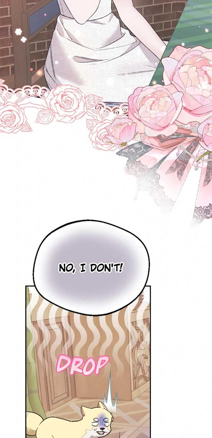 ch 65 28