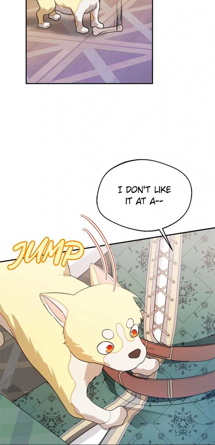 ch 65 29
