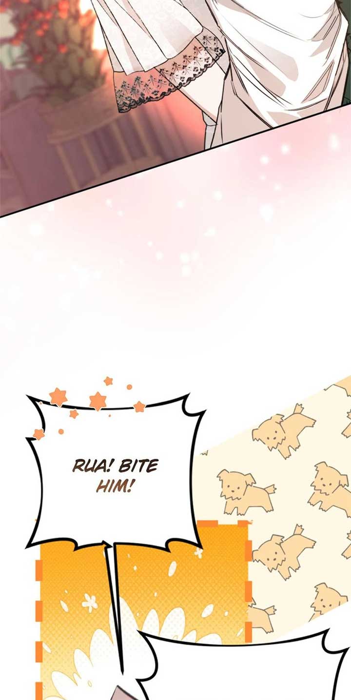 ch 65 63