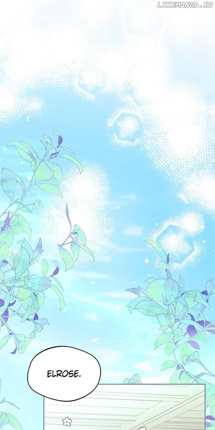 ch 65 65