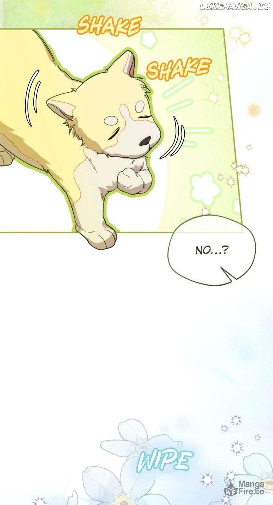 ch 72 12